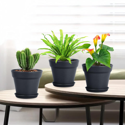 Meowell varias macetas en ventana creando un mini jardín funcional