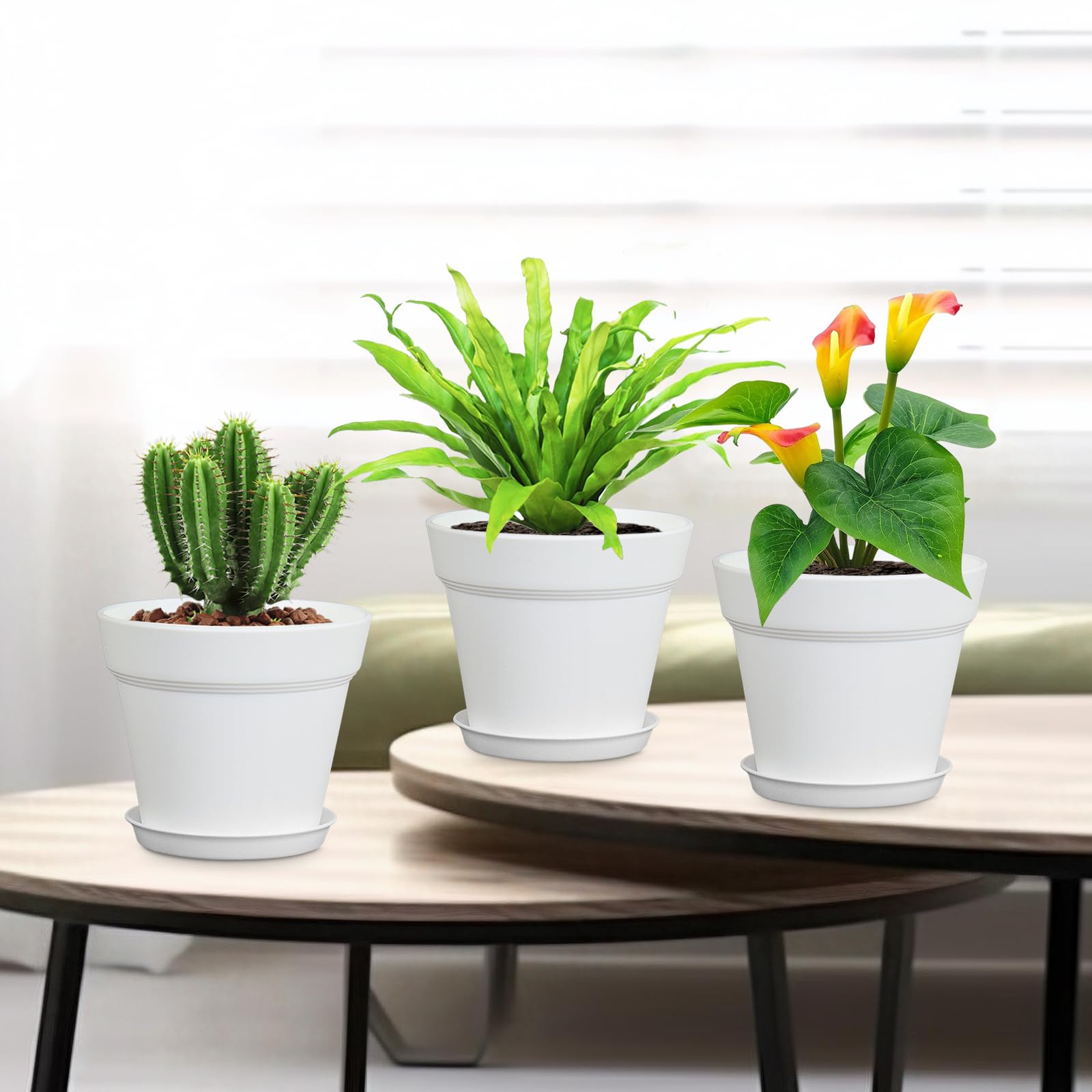 Meowell macetas personalizadas con pintura DIY para decoración creativa