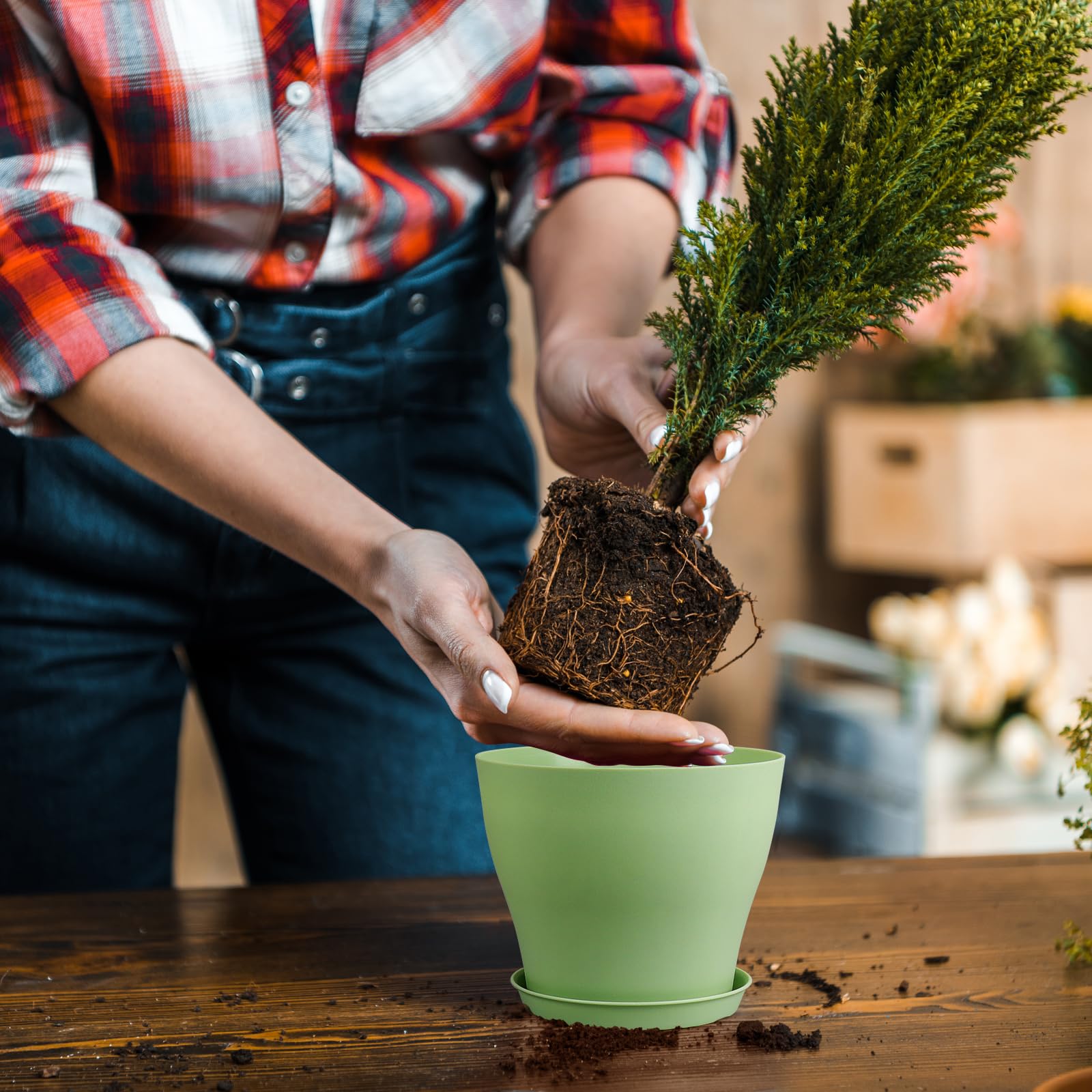 Meowell macetas en alféizar usadas para cultivar hierbas frescas