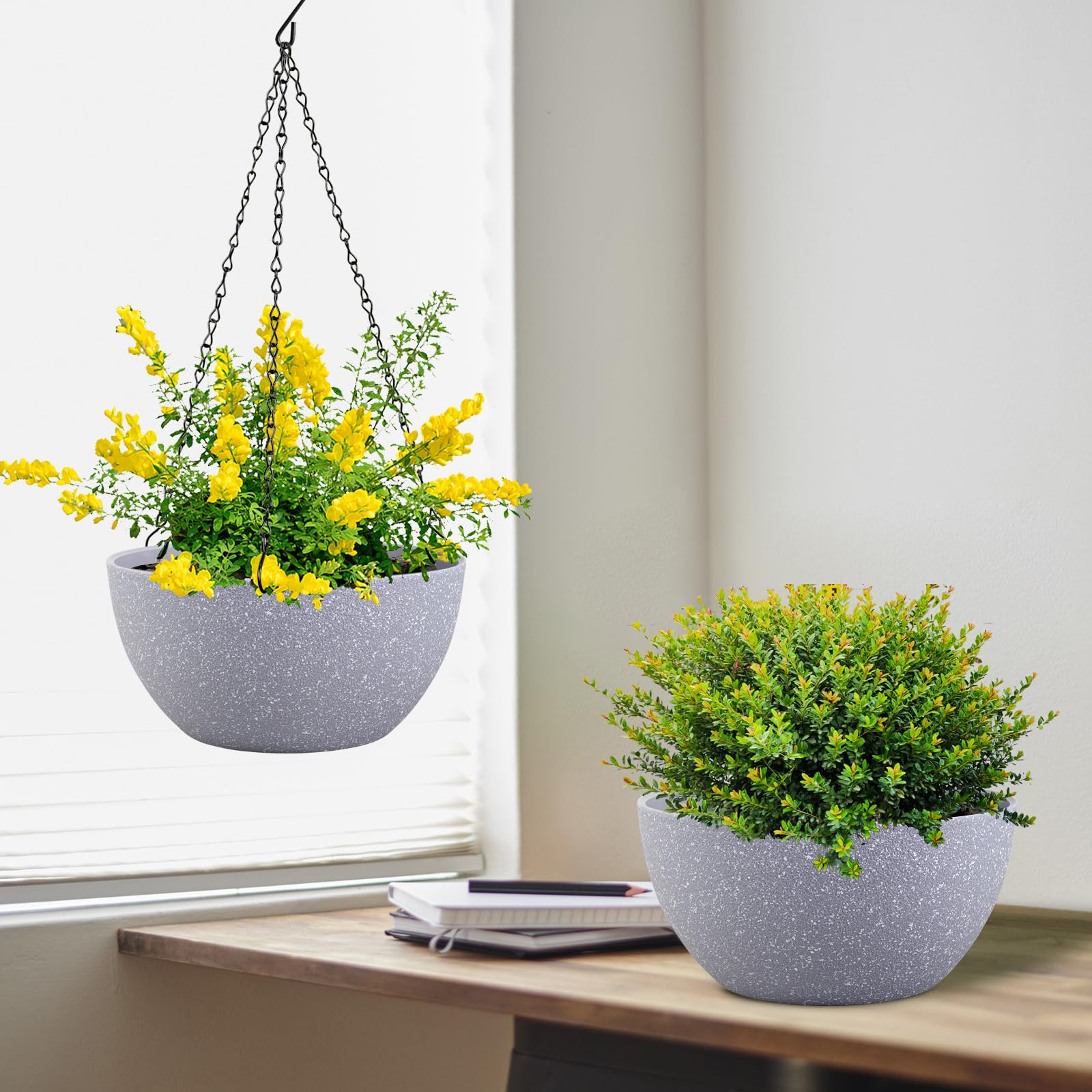 Meowell macetero con pothos demostrando cultivo colgante y ahorro de suelo