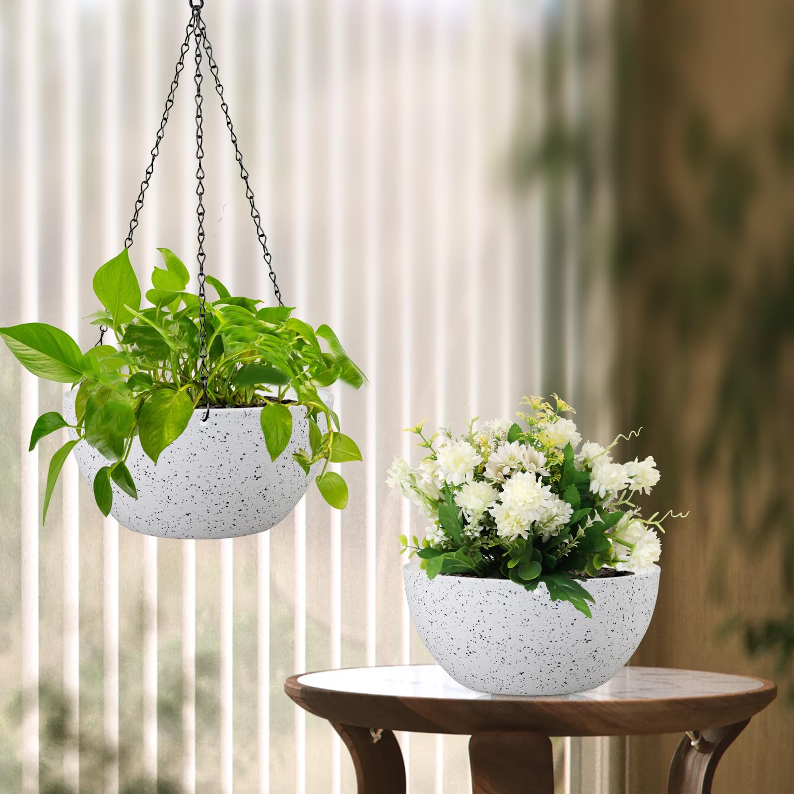 Meowell maceta con pothos colgante mostrando salud de la planta