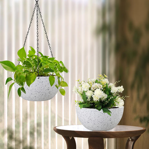 Meowell maceta con pothos colgante mostrando salud de la planta