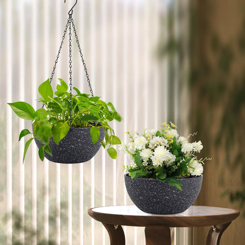 Meowell maceta en interior aporta verdor y decoración práctica