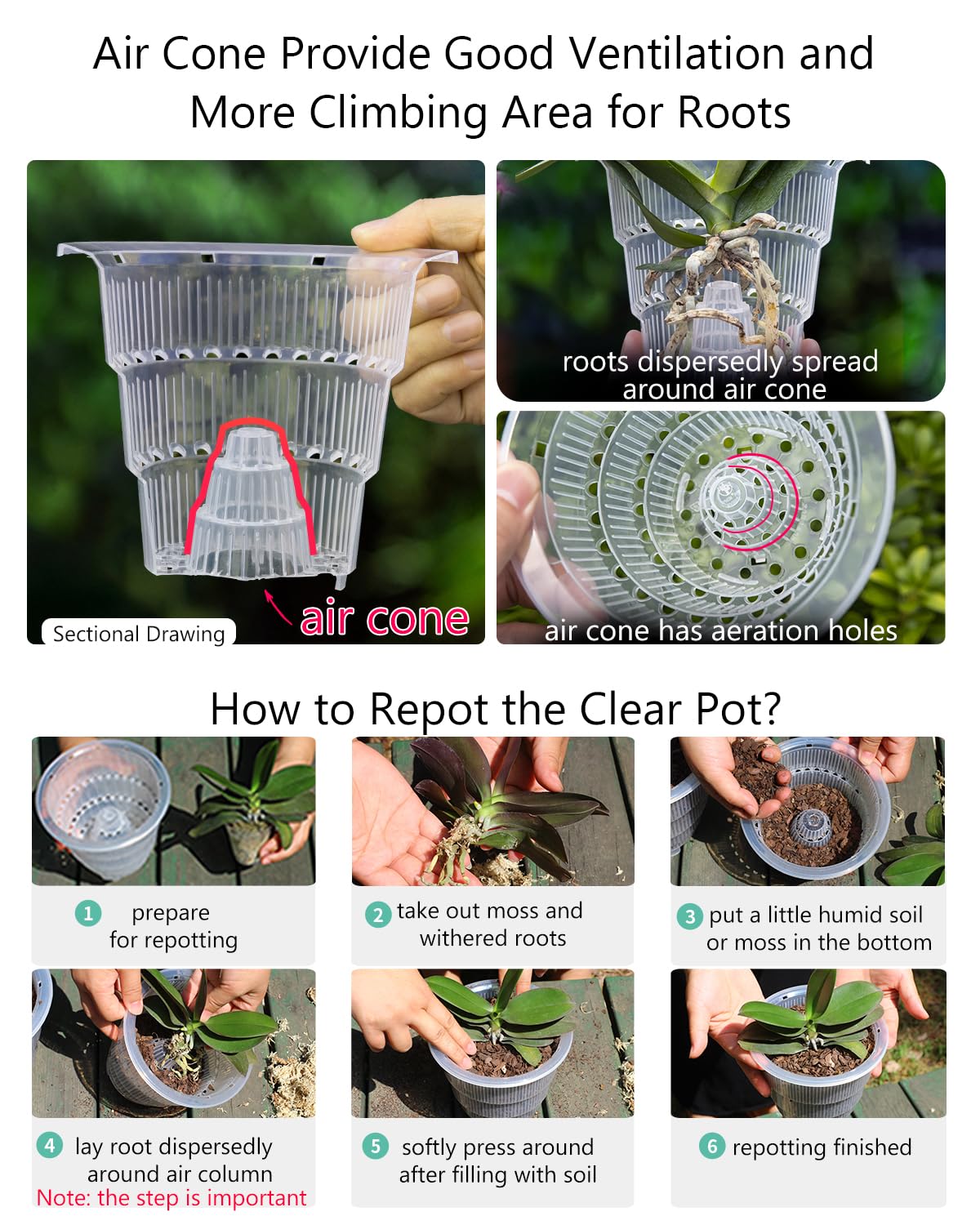 Meshpot comparación de tamaño 4 pulgadas muestra ajuste ideal para orquídeas
