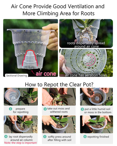 Meshpot comparación de tamaño 4 pulgadas muestra ajuste ideal para orquídeas