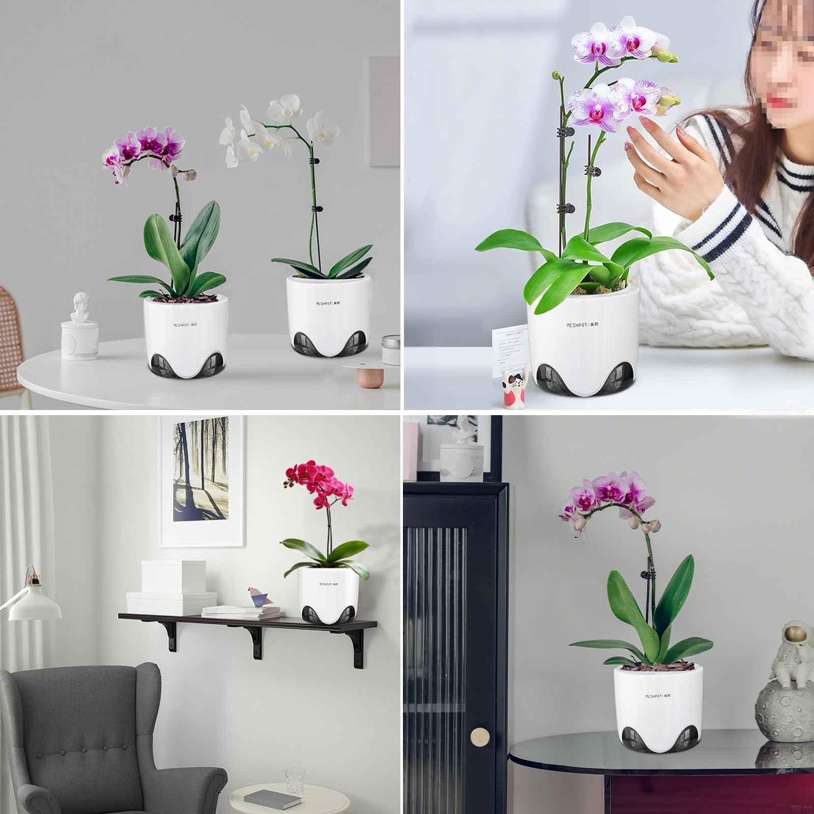Meshpot contenido del set dos macetas listas para plantar orquídeas