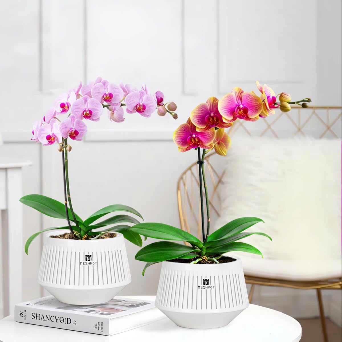 Meshpot maceta en balcón con orquídea creando un ambiente decorativo