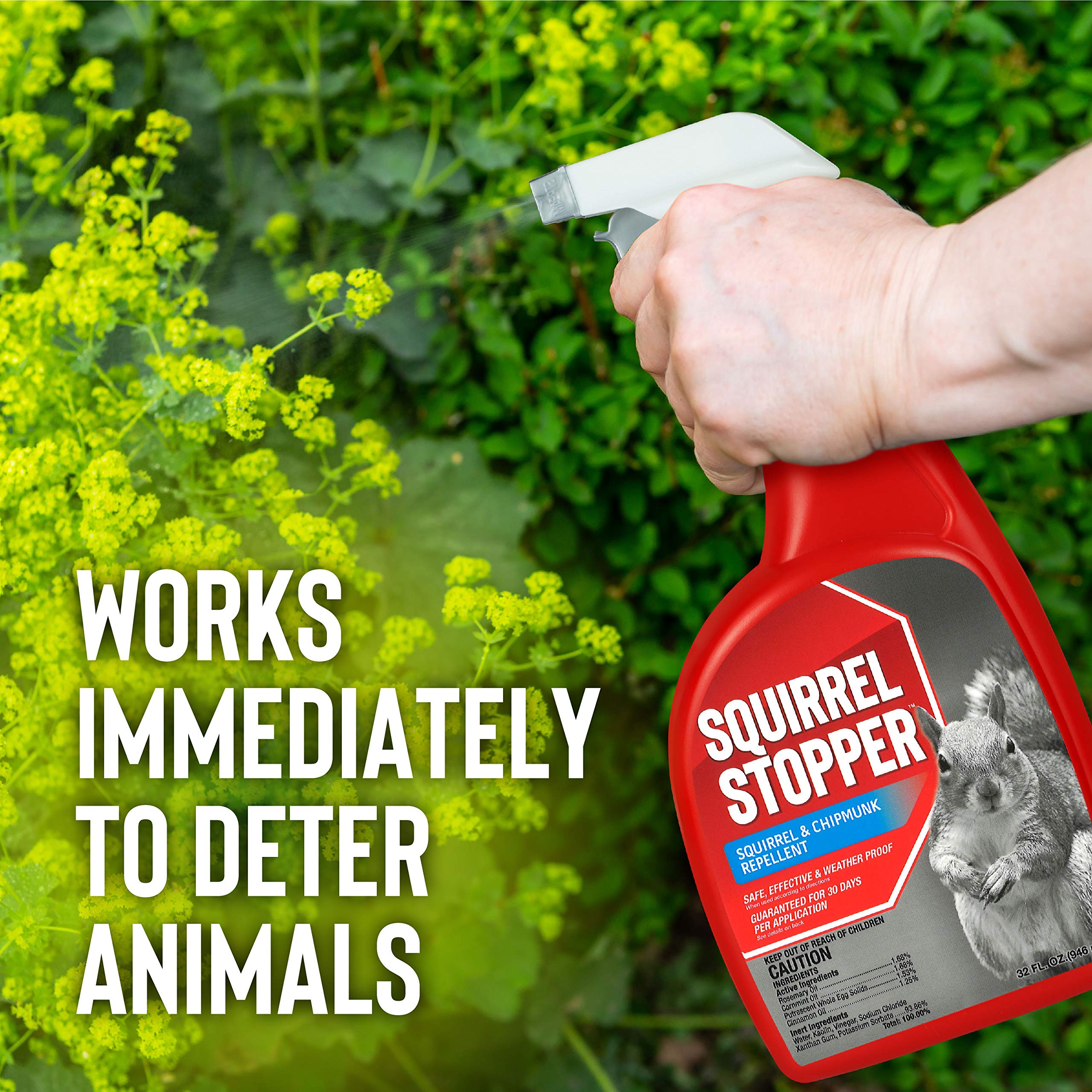 Spray Messinas aplicado alrededor de comedero de aves para protección