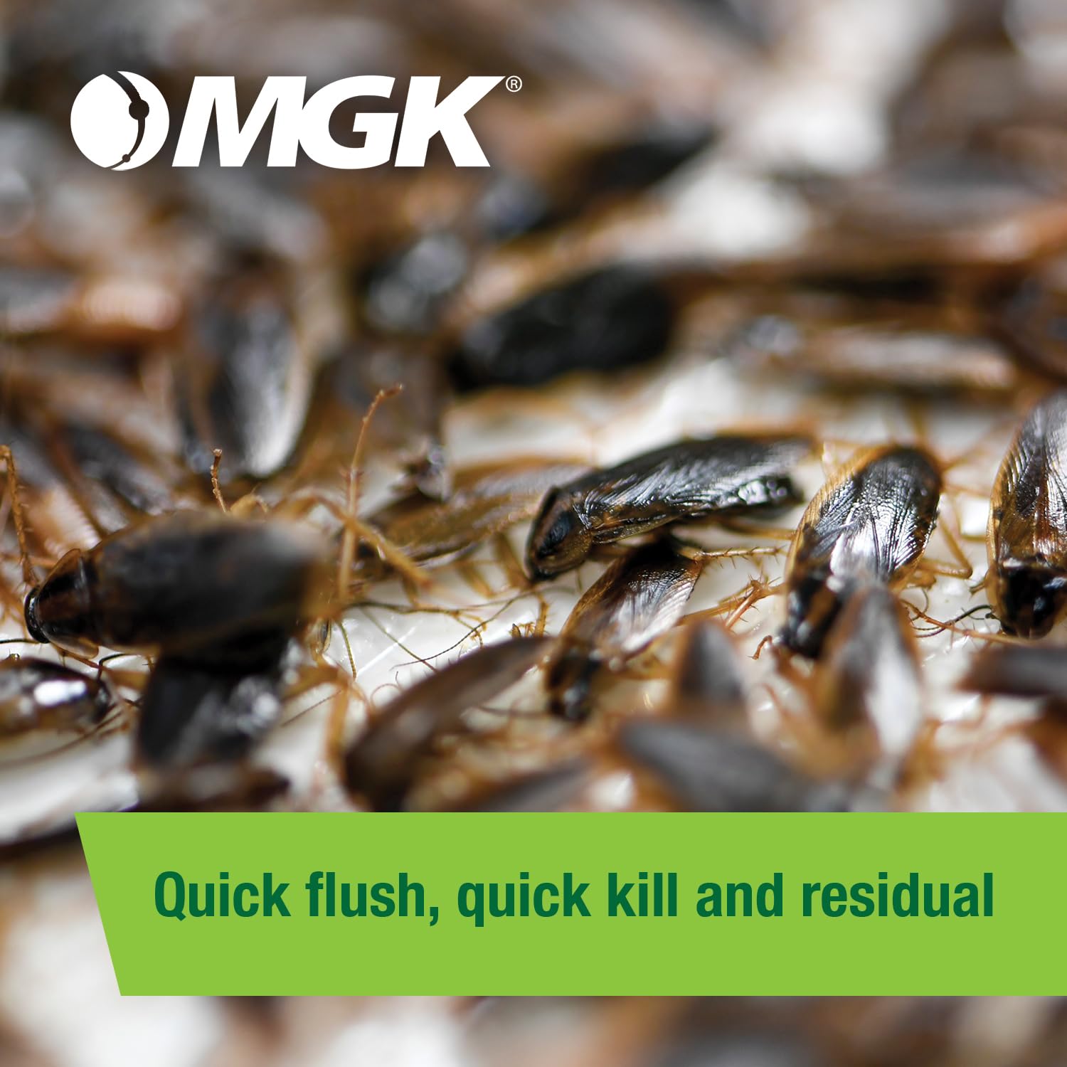 MGK Shockwave 1 etiqueta con ingredientes y beneficios de control
