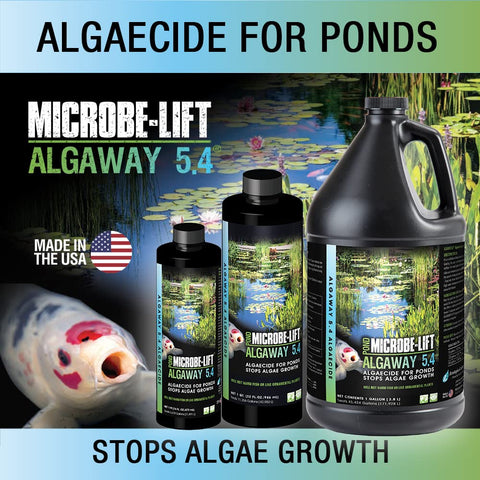 MICROBE-LIFT líquido concentrado en detalle, muestra potencia efectiva