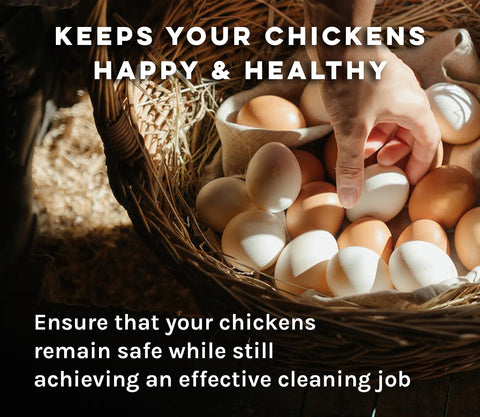 MICROBE-LIFT aplicación en gallinero rociando cama y cajas de nido