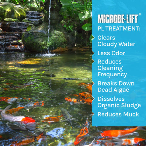 MICROBE-LIFT en jardín acuático con koi y plantas, mantiene agua clara y estética
