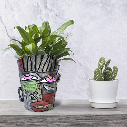 Midogaigai maceta envuelta como regalo ideal para amantes de plantas