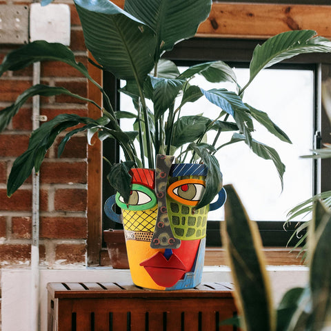 Midogaigai con suculenta plantada, realza plantas pequeñas