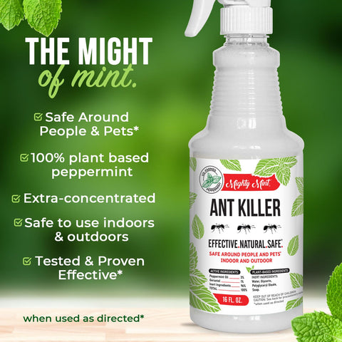 Mighty Mint uso en patio demostrando control de hormigas al exterior