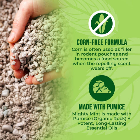 Mighty Mint bolsitas en cocina mostrando uso seguro y olor agradable