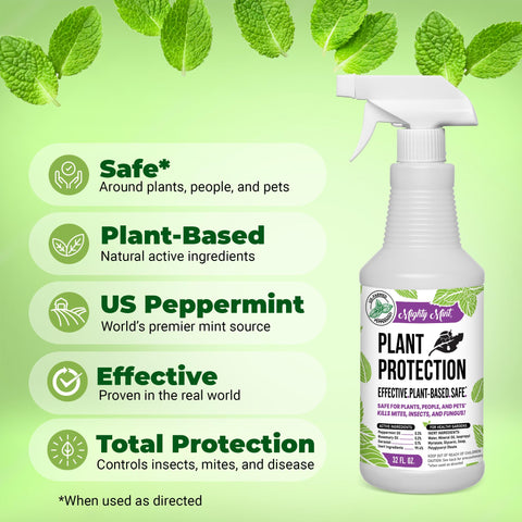 Mighty Mint comparación de tamaño con mano para medir capacidad 32 oz