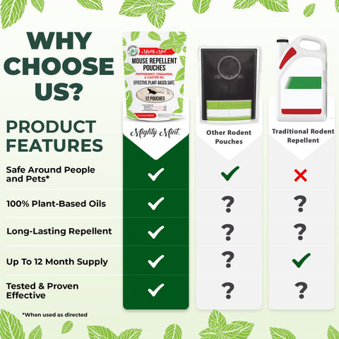 Mighty Mint bolsita junto a mano para comparar tamaño portátil