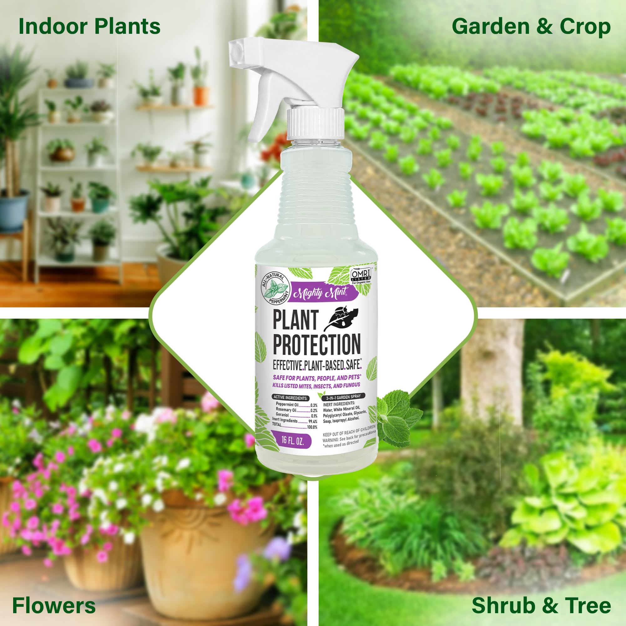 Mighty Mint primer plano de etiqueta e ingredientes, información clara y natural