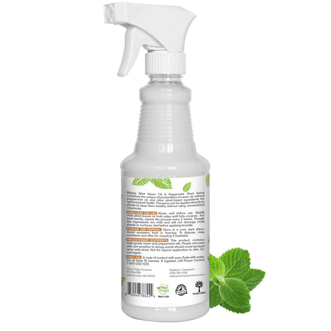 Mighty Mint en mano para comparar escala y facilidad de manejo