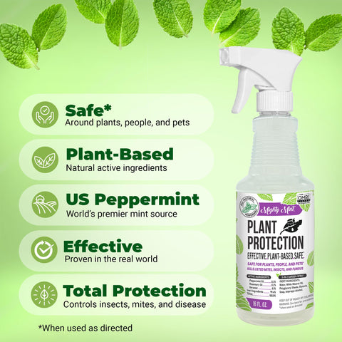Mighty Mint pulverización en hojas mostrando cobertura uniforme, protección rápida