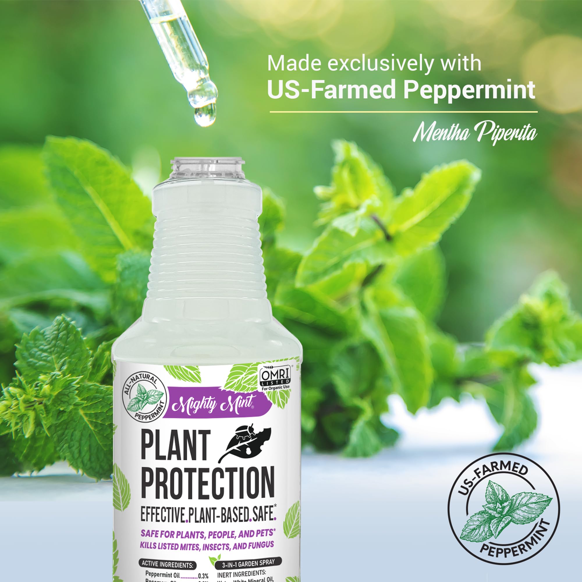Mighty Mint en uso sobre maceta interior con plantas sanas, ideal para espacios domésticos