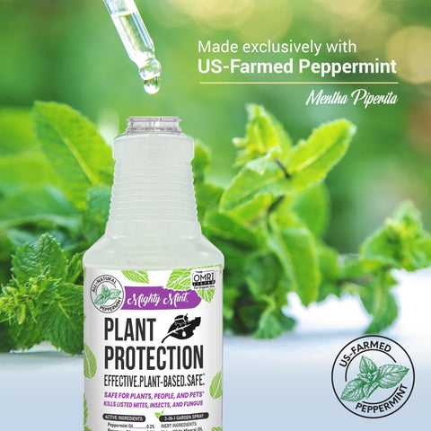 Mighty Mint en uso sobre maceta interior con plantas sanas, ideal para espacios domésticos