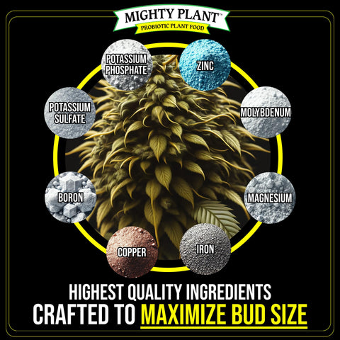 Mighty Plant solución diluida en agua lista para riego con absorción rápida
