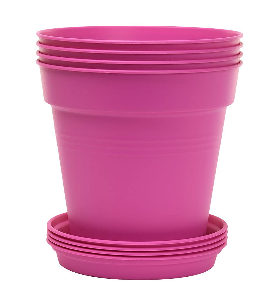 Mintra Office plato de drenaje mostrado con agua retenida para proteger superficies