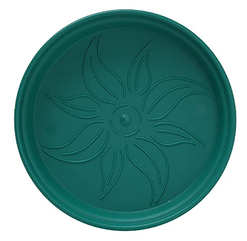 Mintra conjunto en balcón realzando la decoración y ahorro de espacio