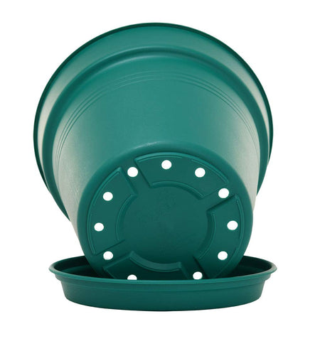 Mintra comparación tamaño 19 cm ideal para hierbas y plantas pequeñas