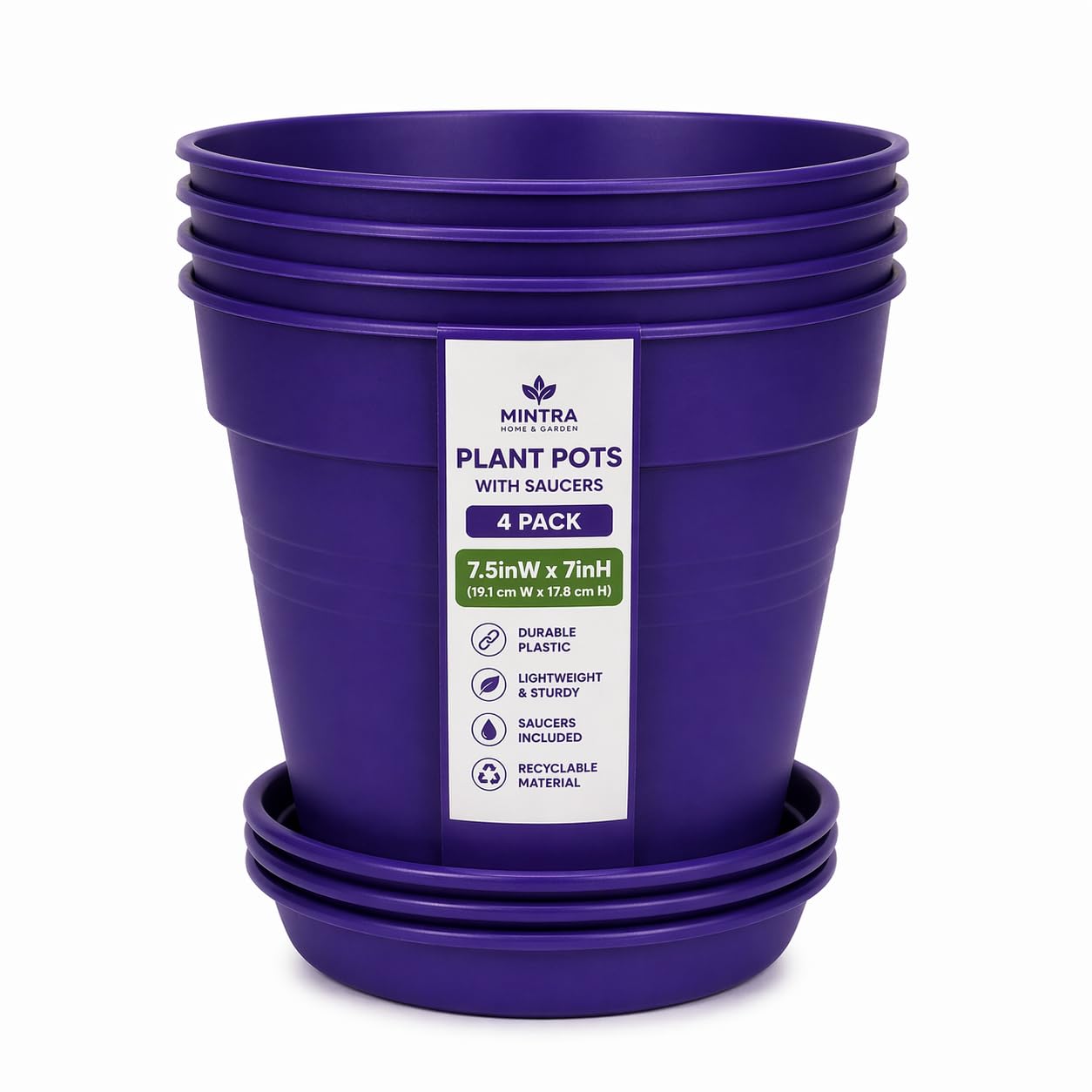 Mintra maceta frontal morado mostrando diseño decorativo y estilo