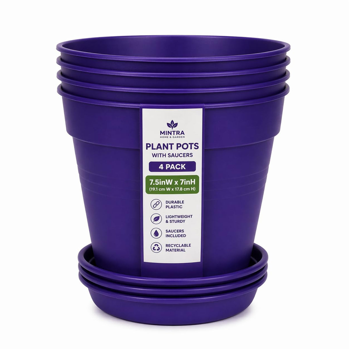 Mintra maceta frontal morado mostrando diseño decorativo y estilo