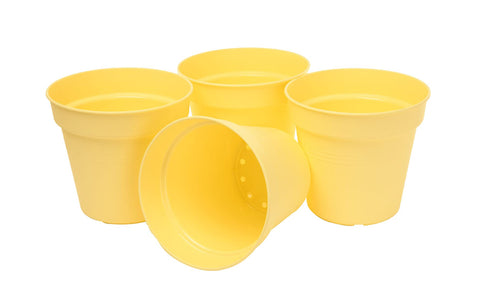 Mintra plato recolector recoge exceso de agua y mantiene superficies limpias