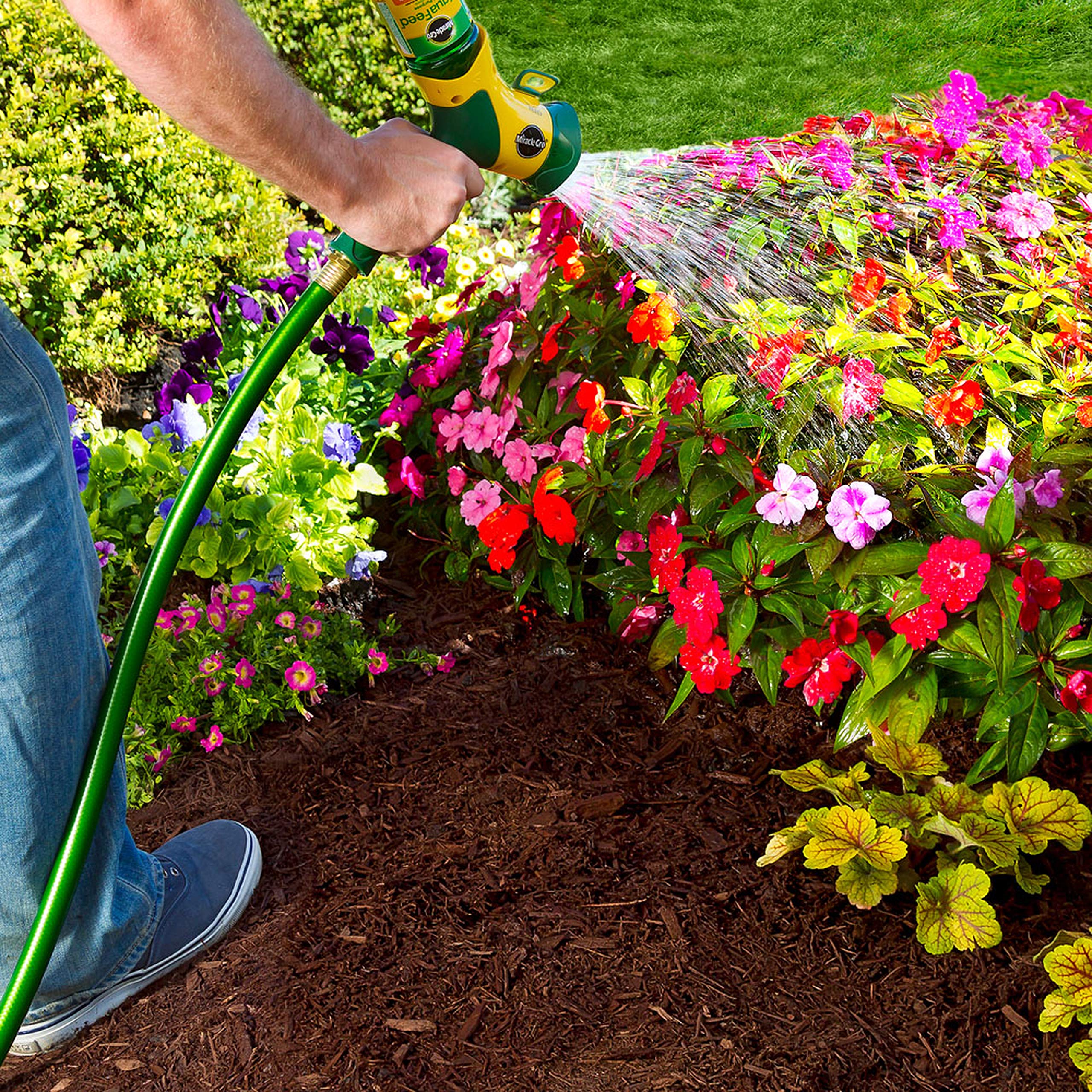 Miracle-Gro alimentador de jardín en uso aplicando fertilizante eficientemente
