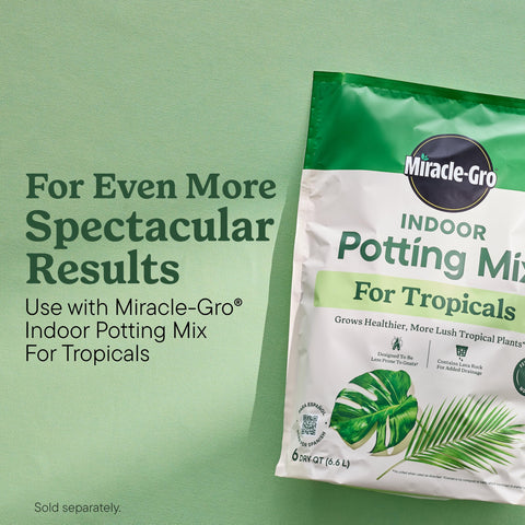 Miracle-Gro producto en entorno de interior con plantas tropicales