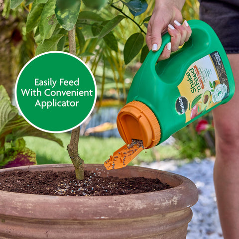 Miracle-Gro en escenario de jardín con cítricos y árboles frutales