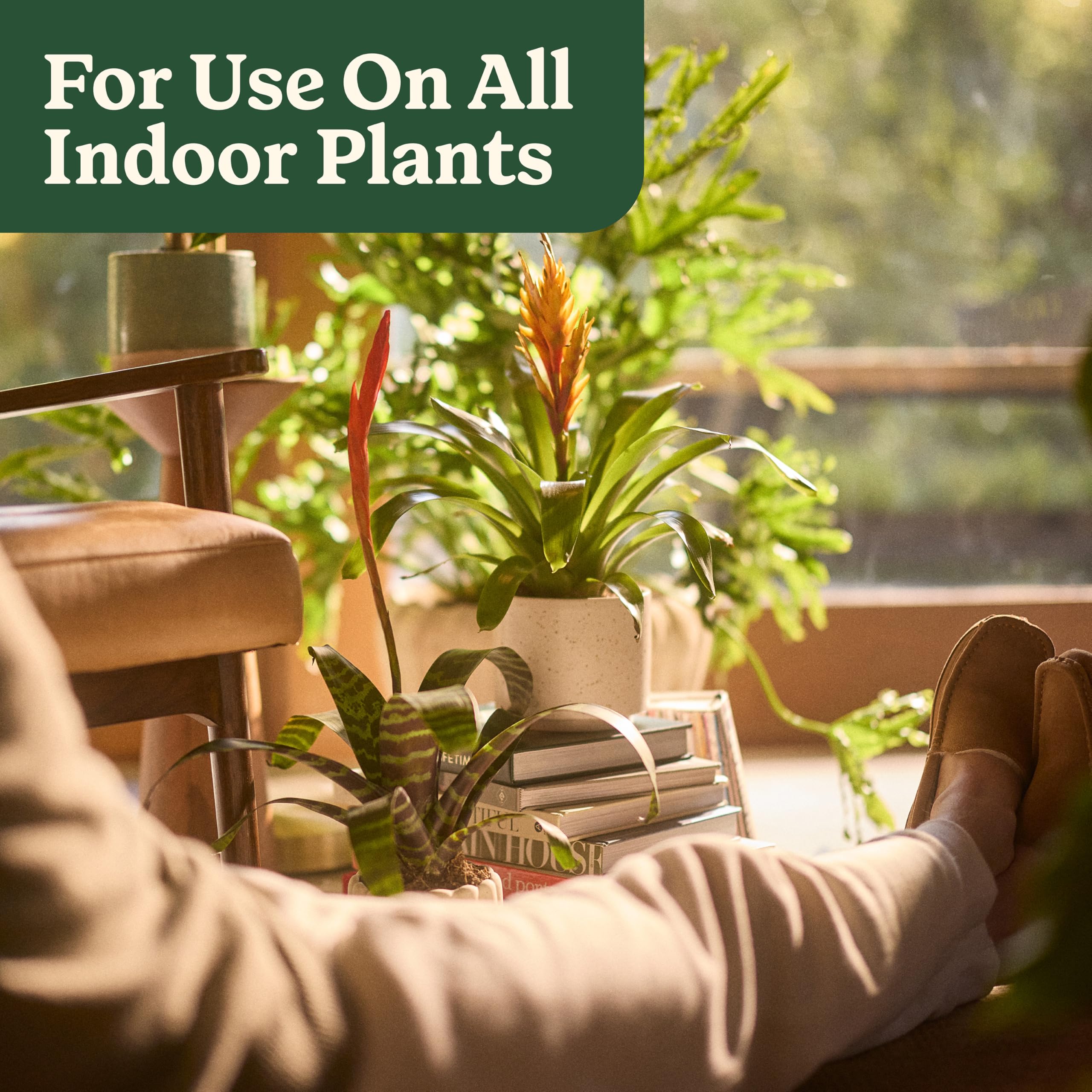 Miracle-Gro ambientación en sala con plantas interiores saludables