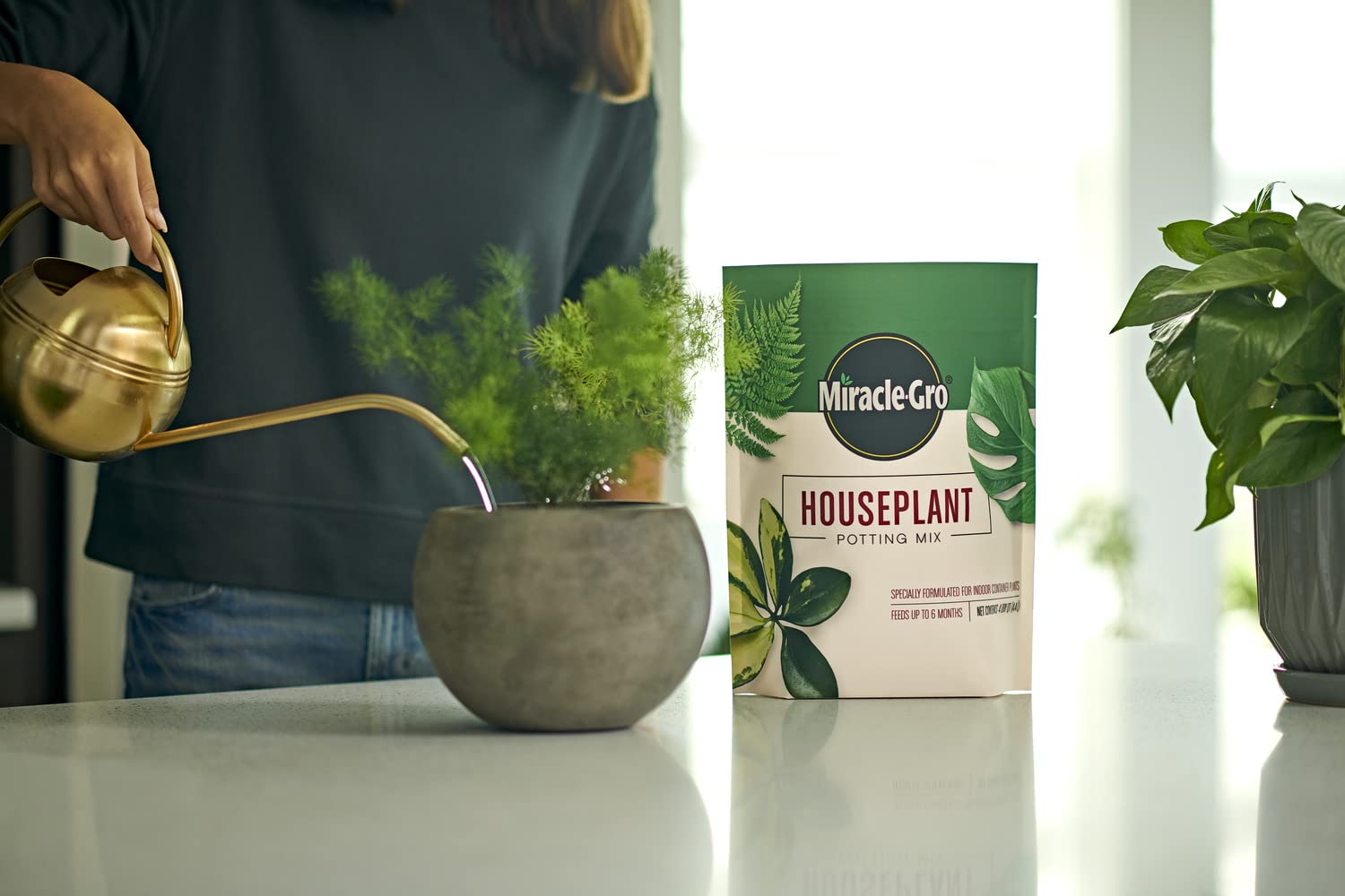 Miracle-Gro sustrato en salón con plantas, facilita cuidado interior