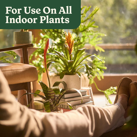 Miracle-Gro ambientación en sala con plantas interiores saludables