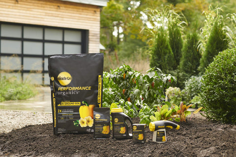 Miracle-Gro plantas antes y después, muestra mejora visible con uso