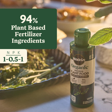 Miracle-Gro aplicación en maceta pequeña mejora crecimiento visible