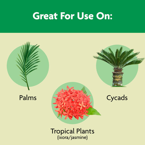 Miracle-Gro aplicándose en maceta para alimentar palmera en interior