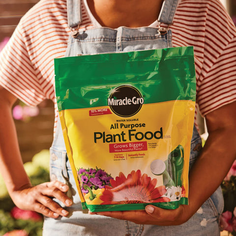 Miracle-Gro aplicado en maceta, nutrir raíces para plantas de interior saludables