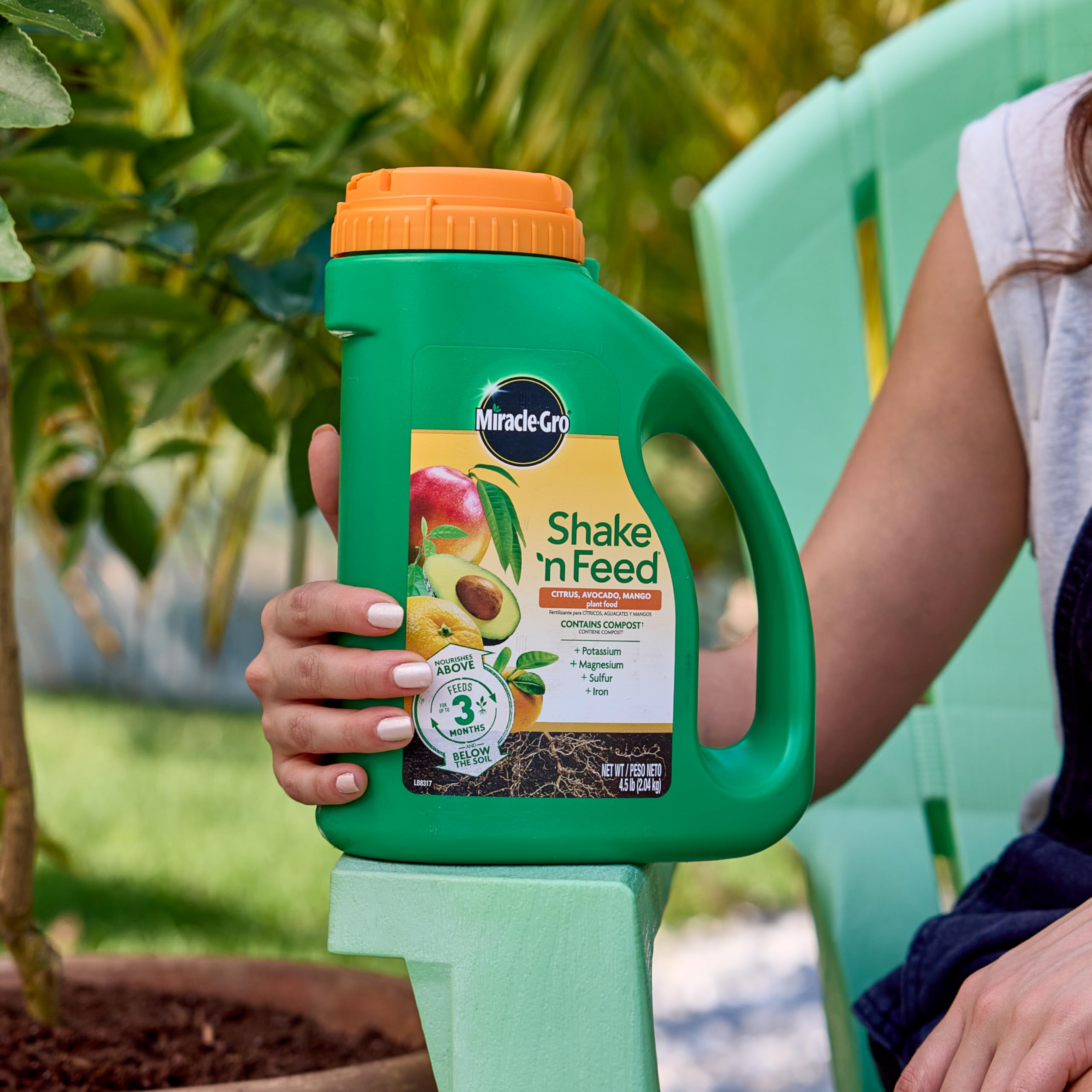 Miracle-Gro aplicado en maceta con planta sana y crecimiento visible