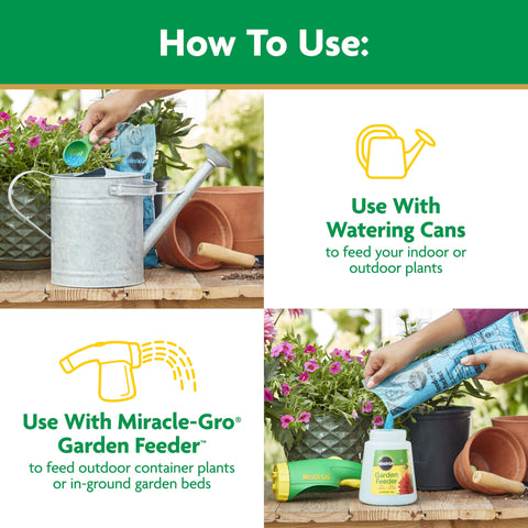 Miracle-Gro aplicando en maceta, mejora la floración en contenedores