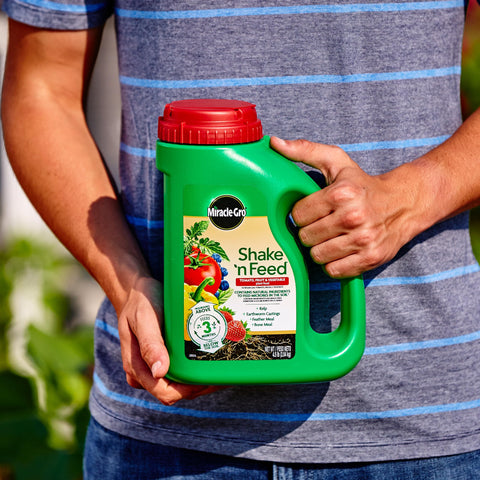 Miracle-Gro aplicación en maceta trayendo nutrición duradera a plantas