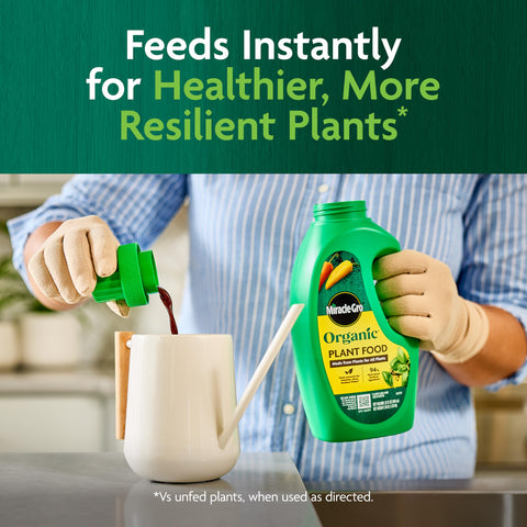 Miracle‑Gro aplicación en maceta interior para plantas saludables