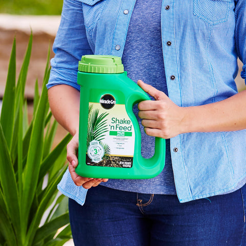 Miracle-Gro aplicado en maceta para nutrir palmeras en interior