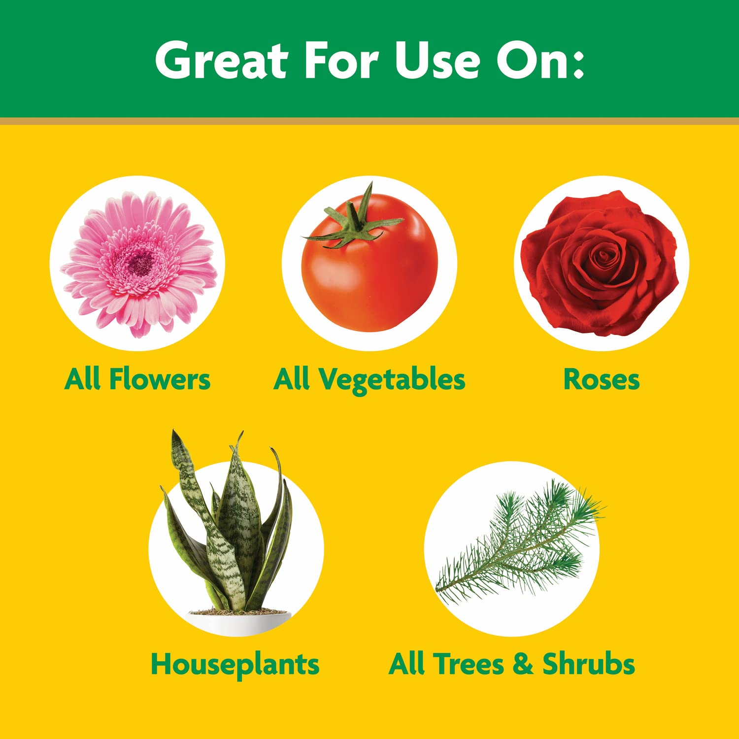 Miracle-Gro aplicado en maceta para raíces más fuertes